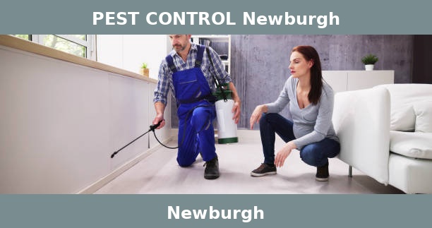 PEST CONTROL Newburgh
